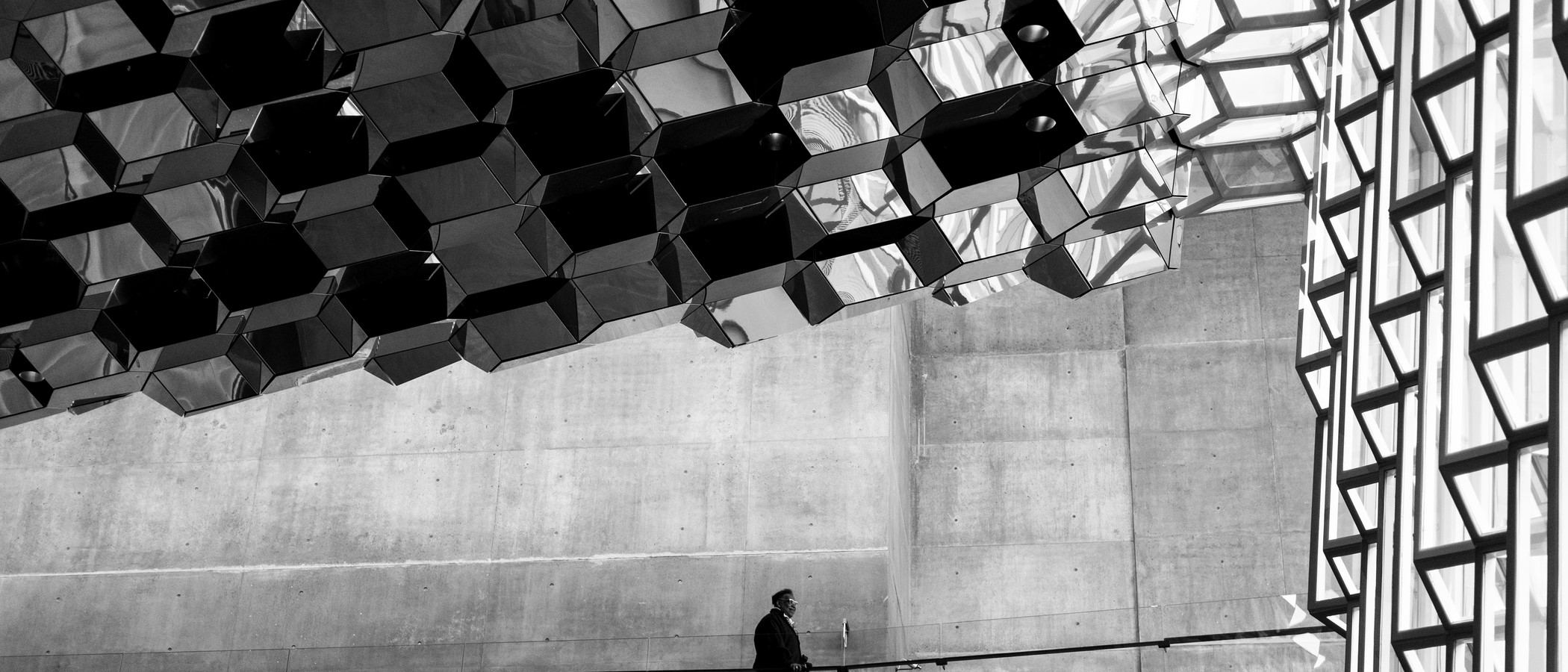 Alonso & Díez-Hochleitner 